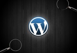 WordPress fonksiyonları