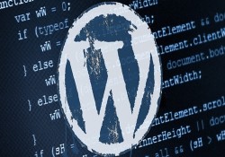 WordPress kısa kod kullanımı