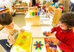 Montessori Eğitiminin Çocuklara 8 Muhteşem Faydası!